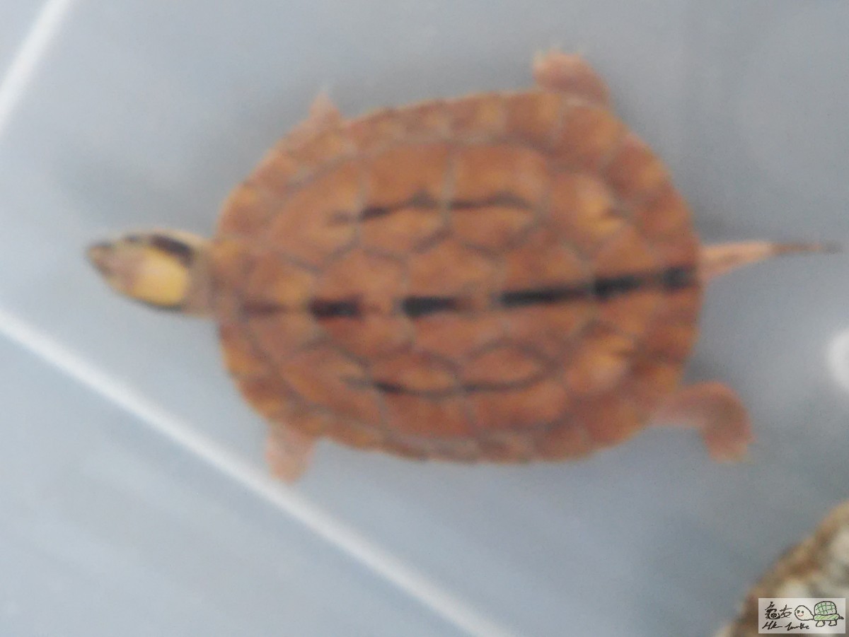 20150803_114753.jpg