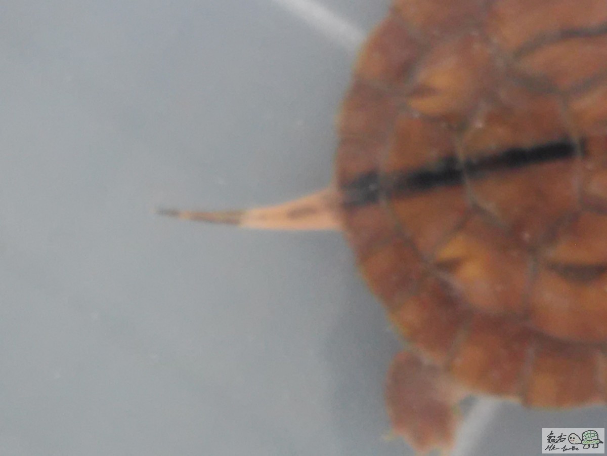 20150803_120452.jpg