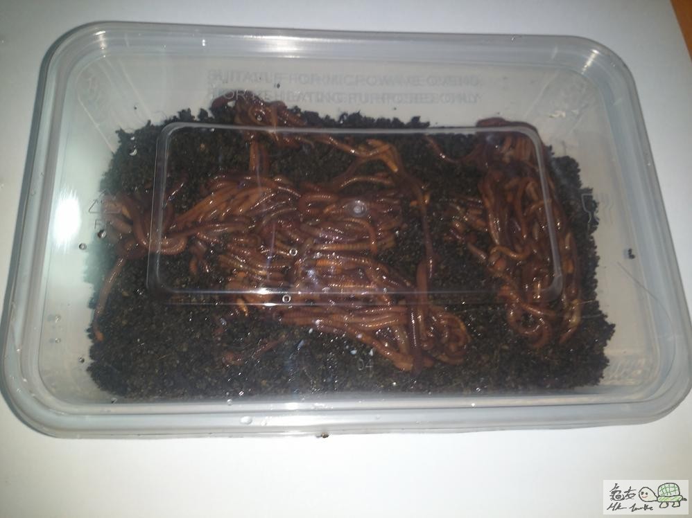 20150728_002218 (Copy).jpg