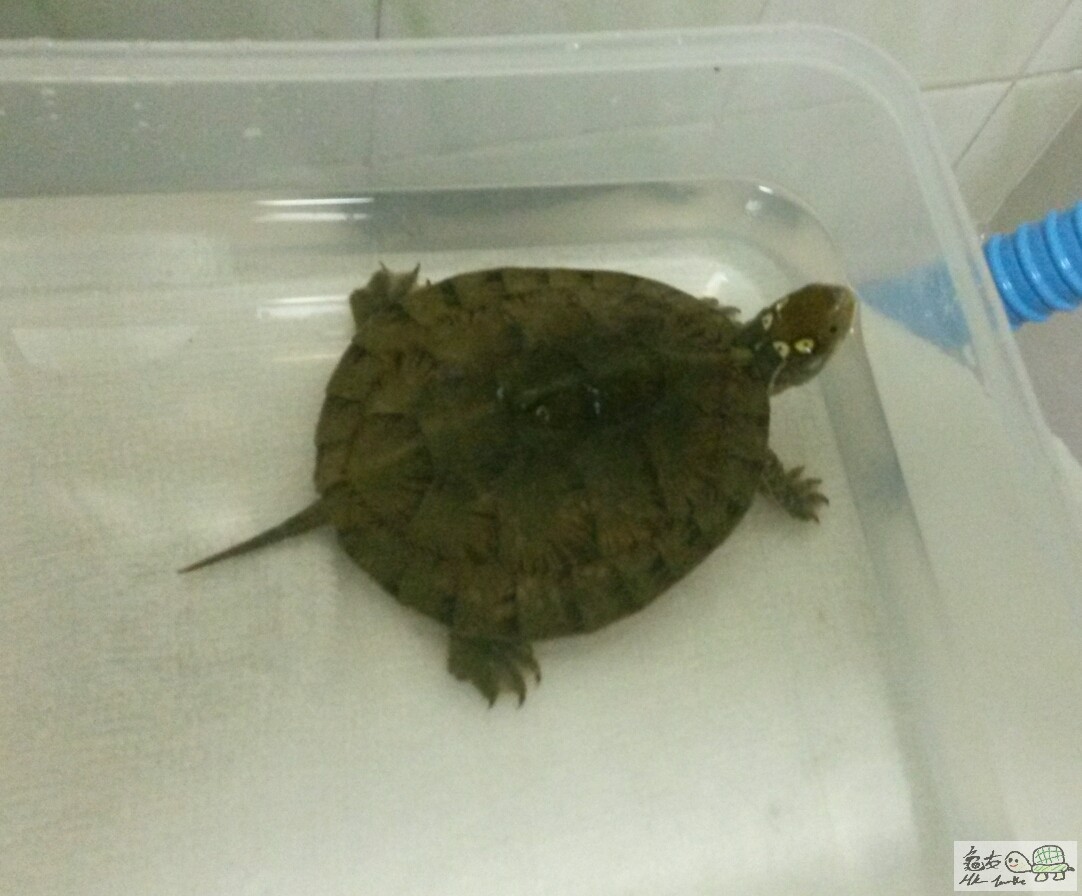 2015-08-10 14.15.17.jpg