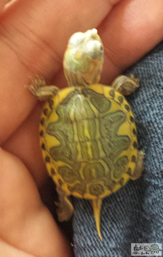 2015-07-20 09.10.47.png