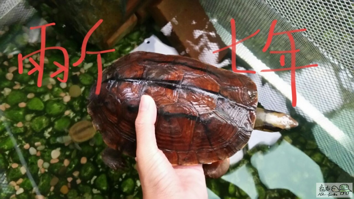 20150810034916 (1).jpg