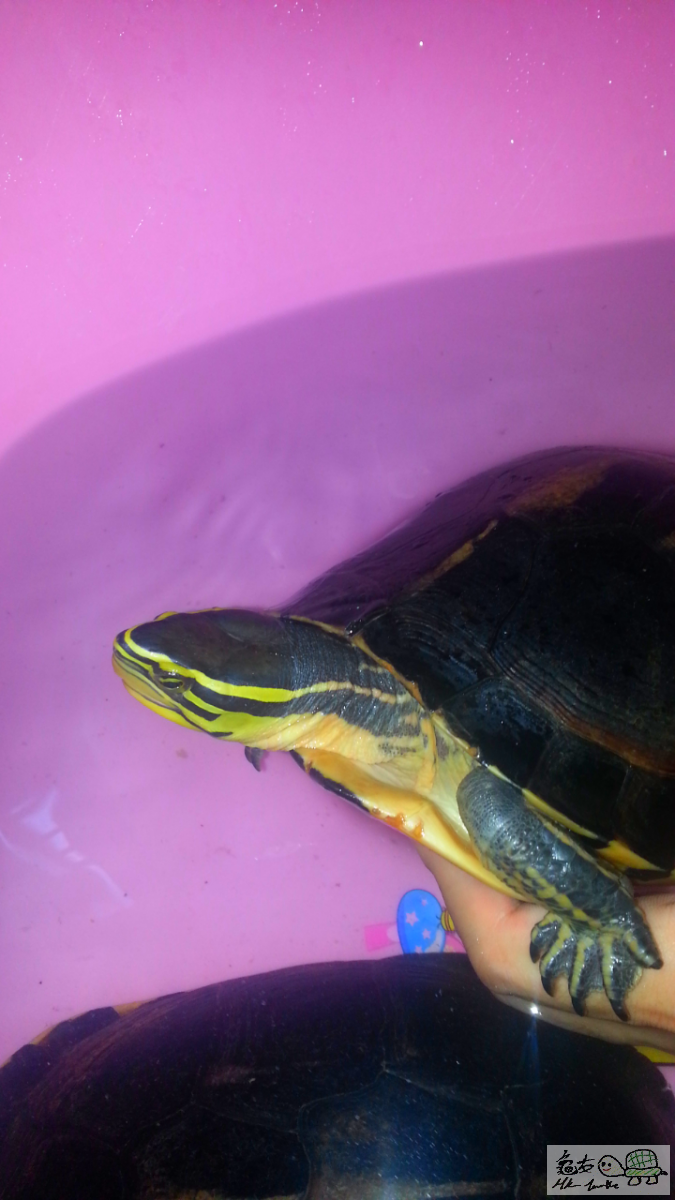 2015-08-02 19.06.22.png333.png