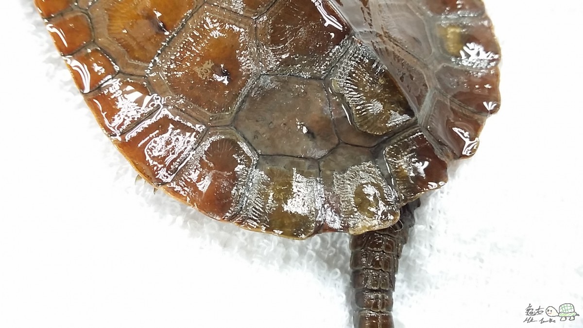 2015-08-18 09.21.39.jpg