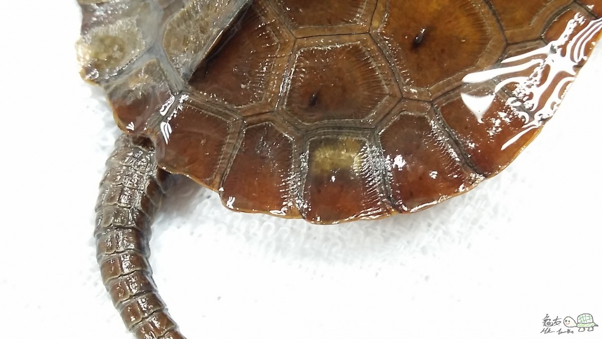 2015-08-18 09.21.26.jpg