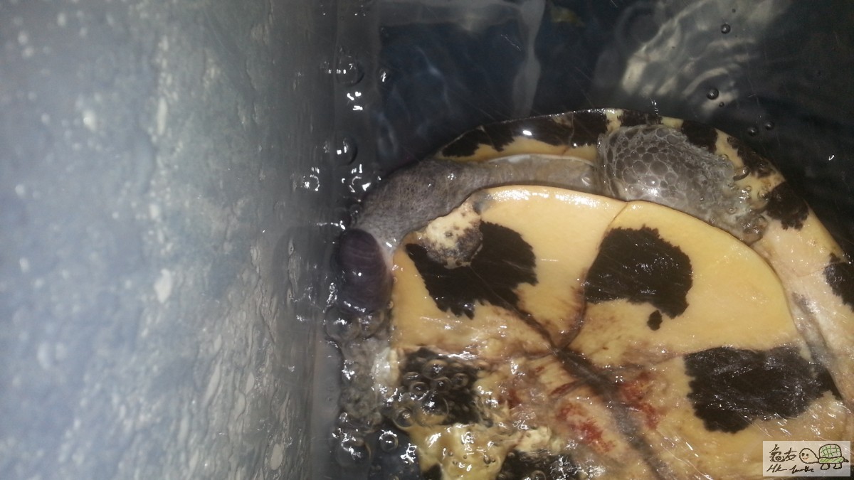 20150817_205658 825.jpg