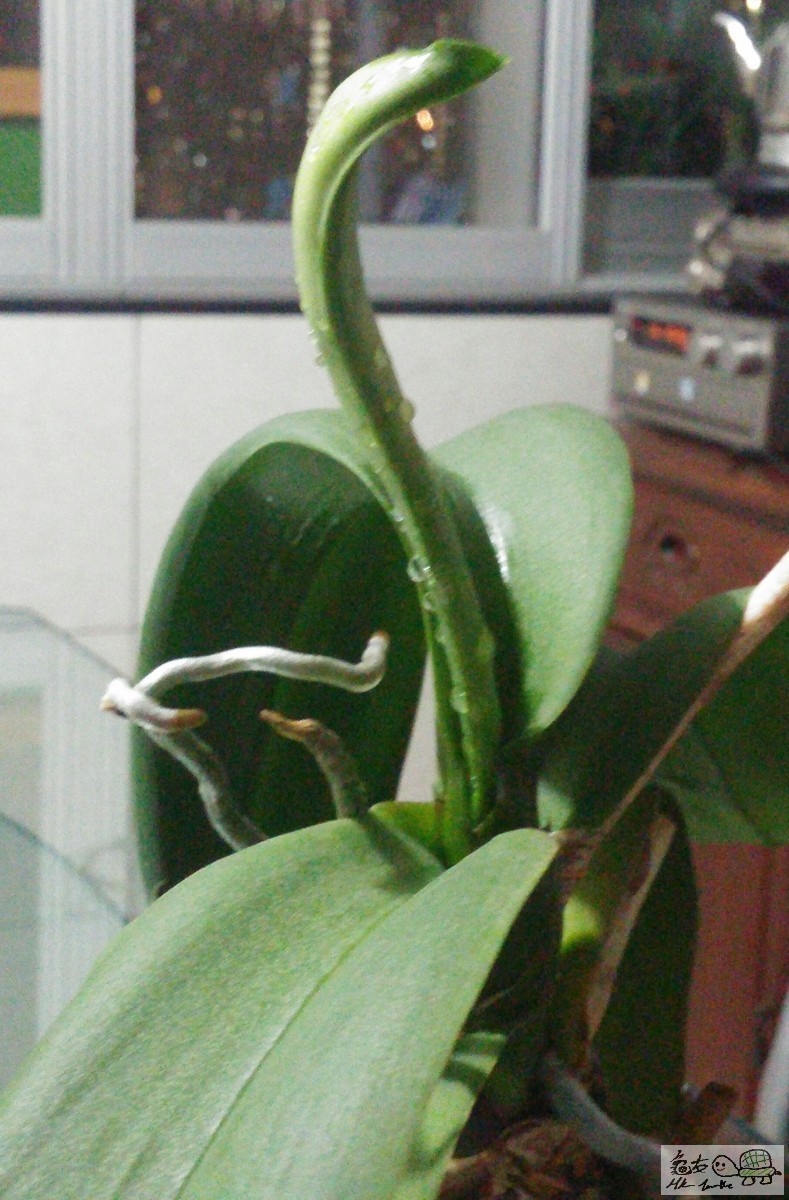 20150827_200528-1.jpg