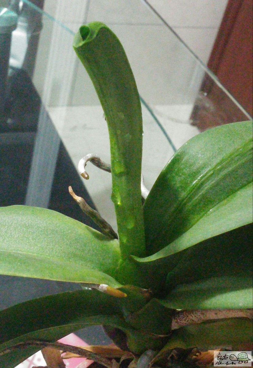 20150827_200618-1.jpg