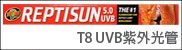 T8 UVB.jpg