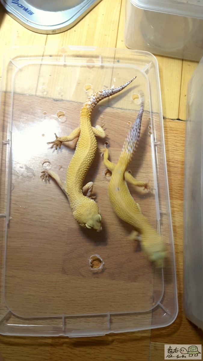 2015-09-06 23.26.41.jpg