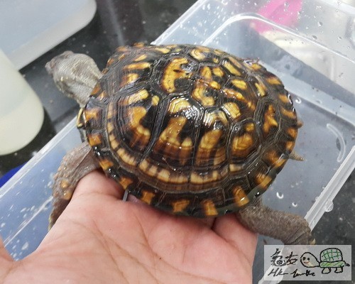 複製 -20150908_172856.jpg