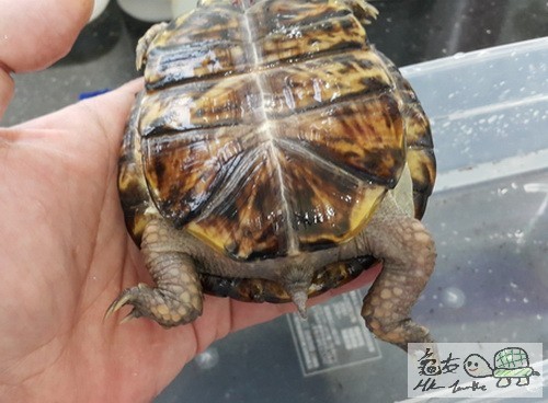 複製 -20150908_172839.jpg