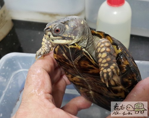 複製 -20150908_173055.jpg