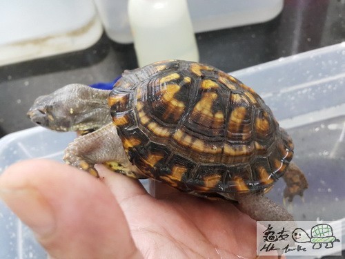 複製 -20150908_172803.jpg