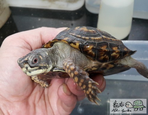 複製 -20150908_172948.jpg