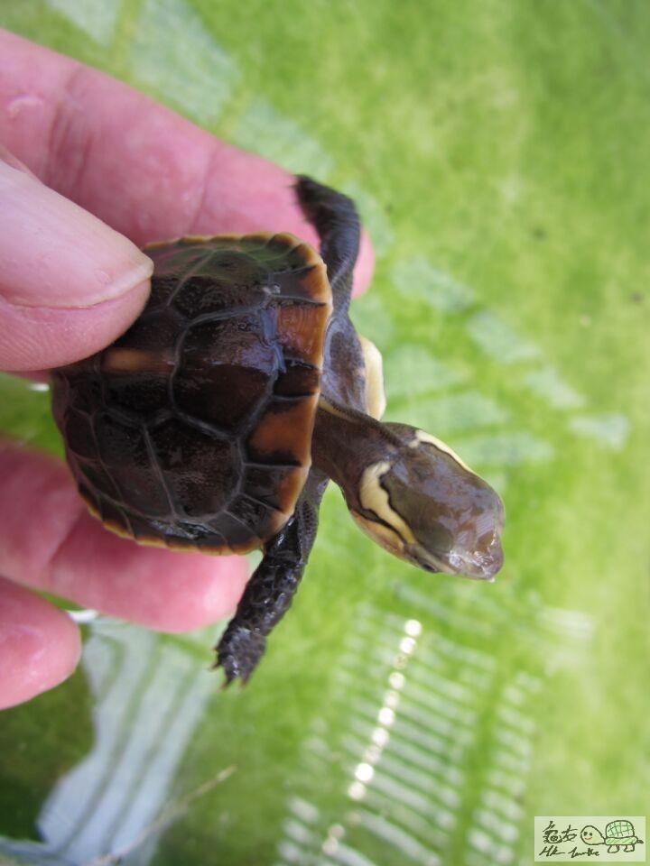 f26cb99098e0b76 (1).jpg