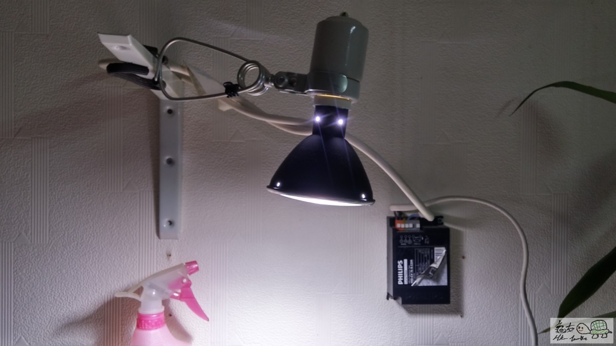 20150917_223405_HDR.jpg