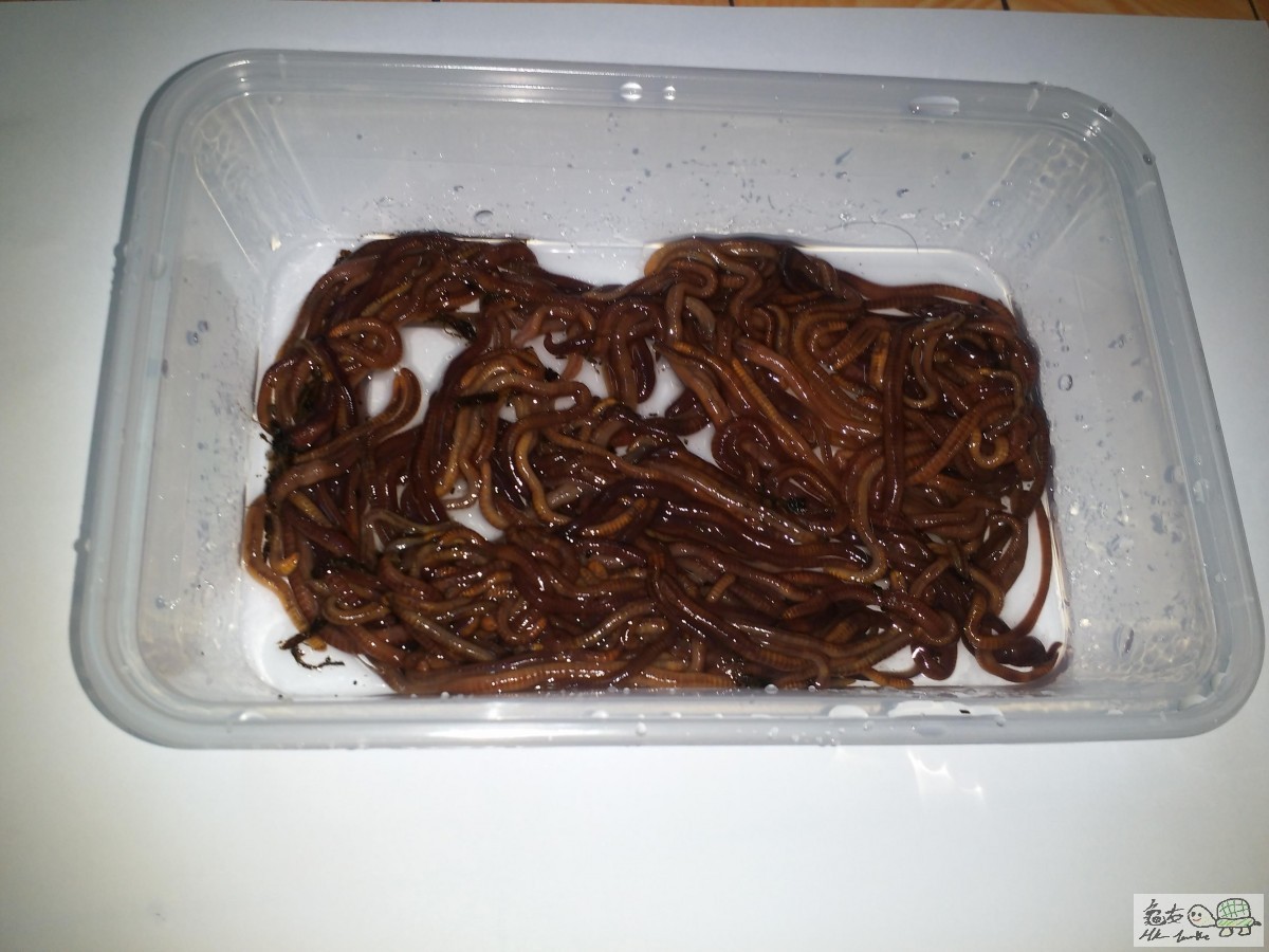 20150728_001847 (Copy).jpg