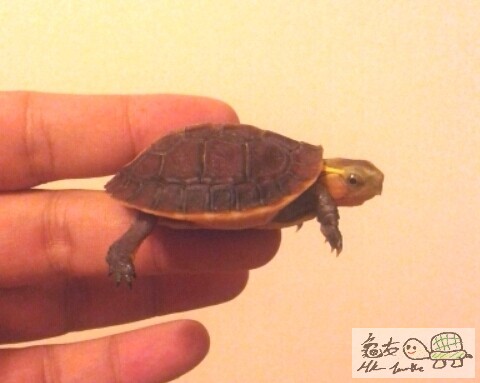 2014-08-01 10.39.46.jpg