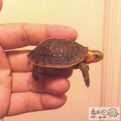 2014-08-01 11.05.50.jpg