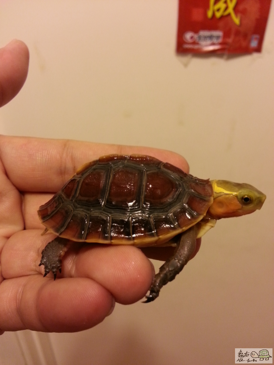 2015-06-22 22.50.24.png