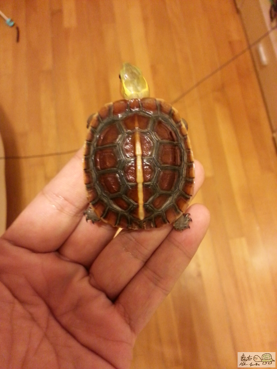 2015-06-22 22.53.26.png