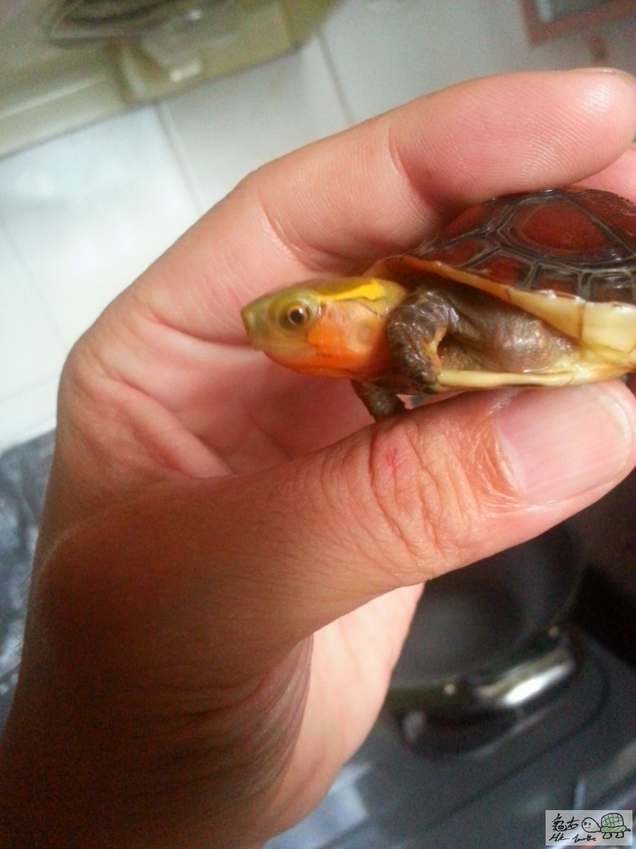 2015-10-10 08.49.55.png