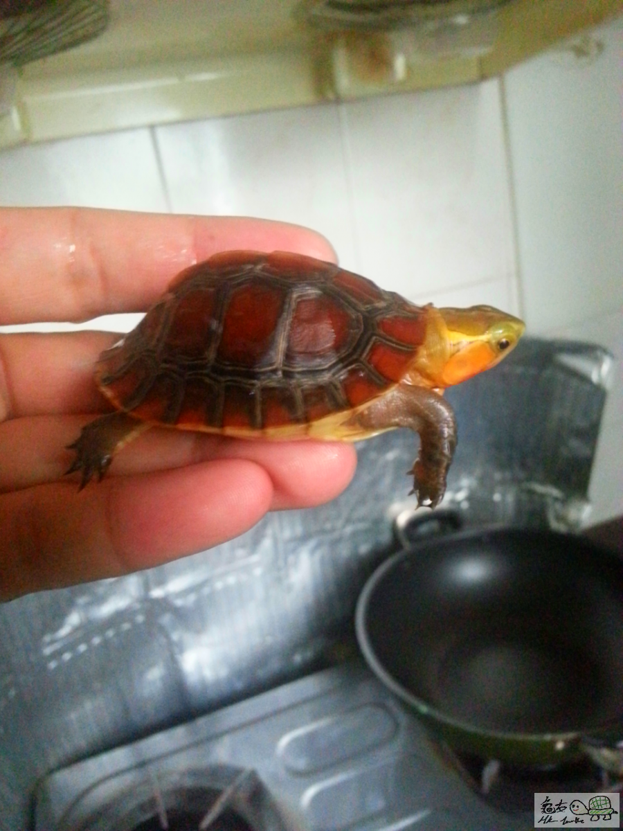 2015-10-10 08.51.23.png