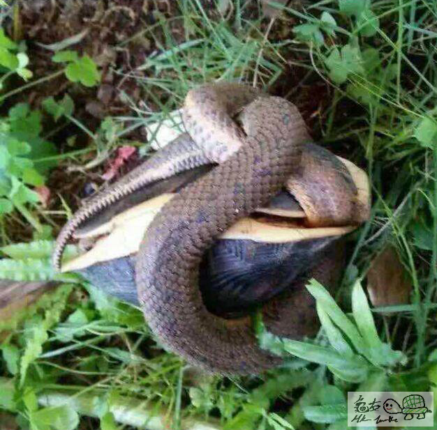 2015-10-15 23.57.36.png