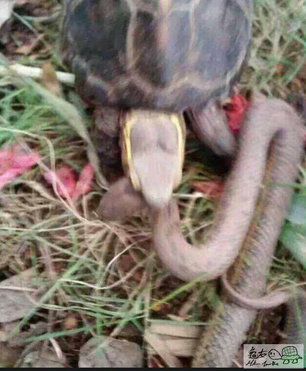 2015-10-15 23.58.24.png