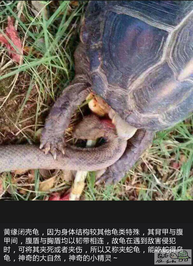 2015-10-15 23.54.08.png