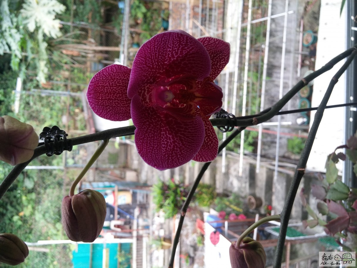 20150507_075330.jpg