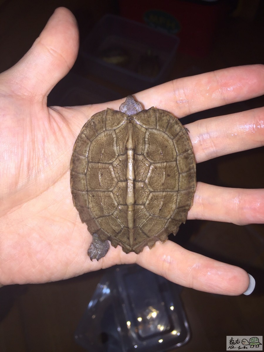 20151110035409 (1).jpg