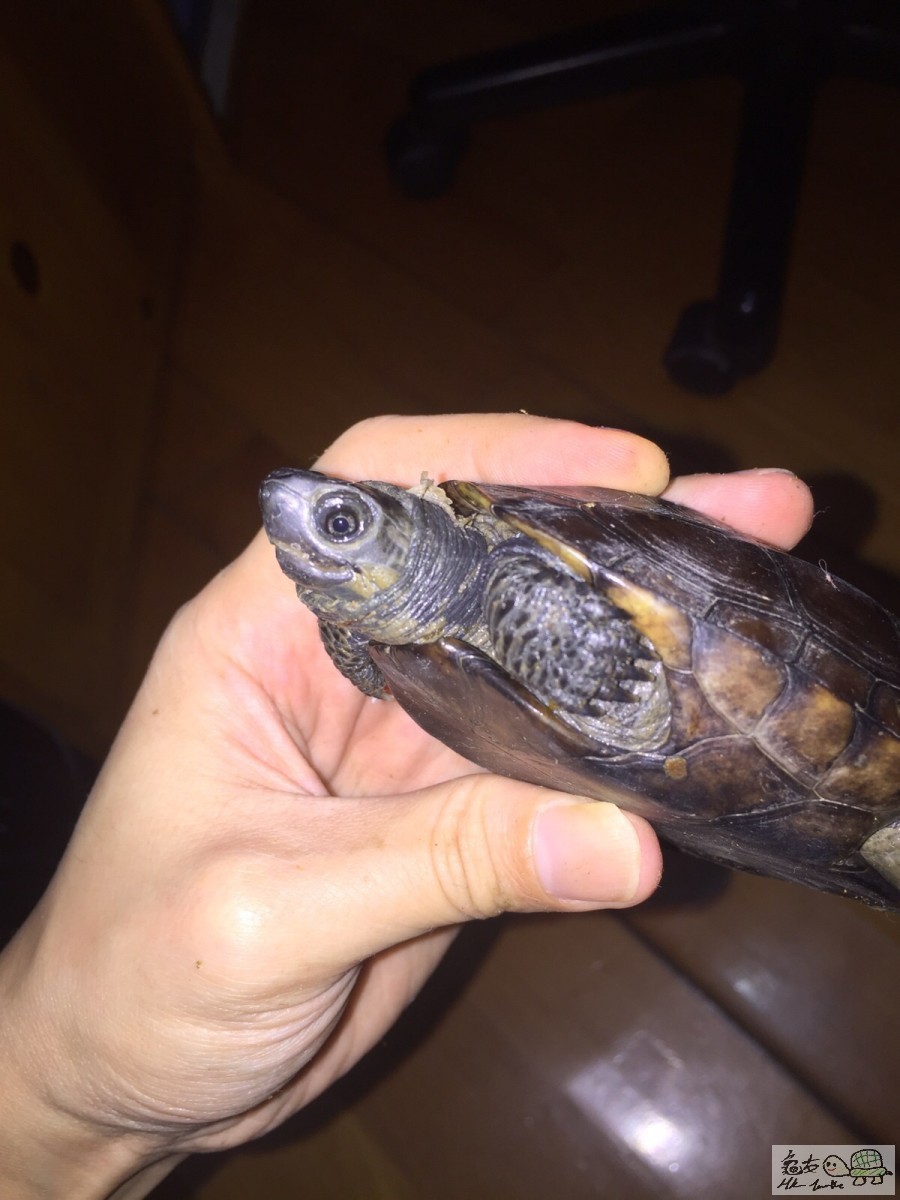 20151115081016 (2).jpg