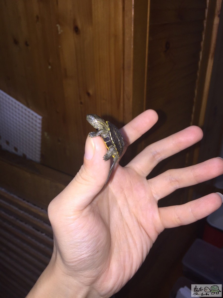 20151113211217 (1).jpg