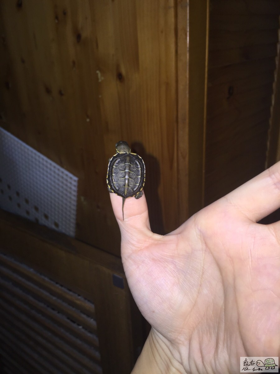 20151113211217 (2).jpg