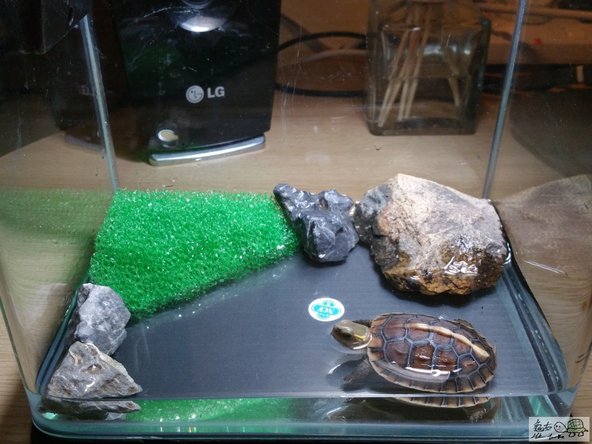20151123_225317.jpg