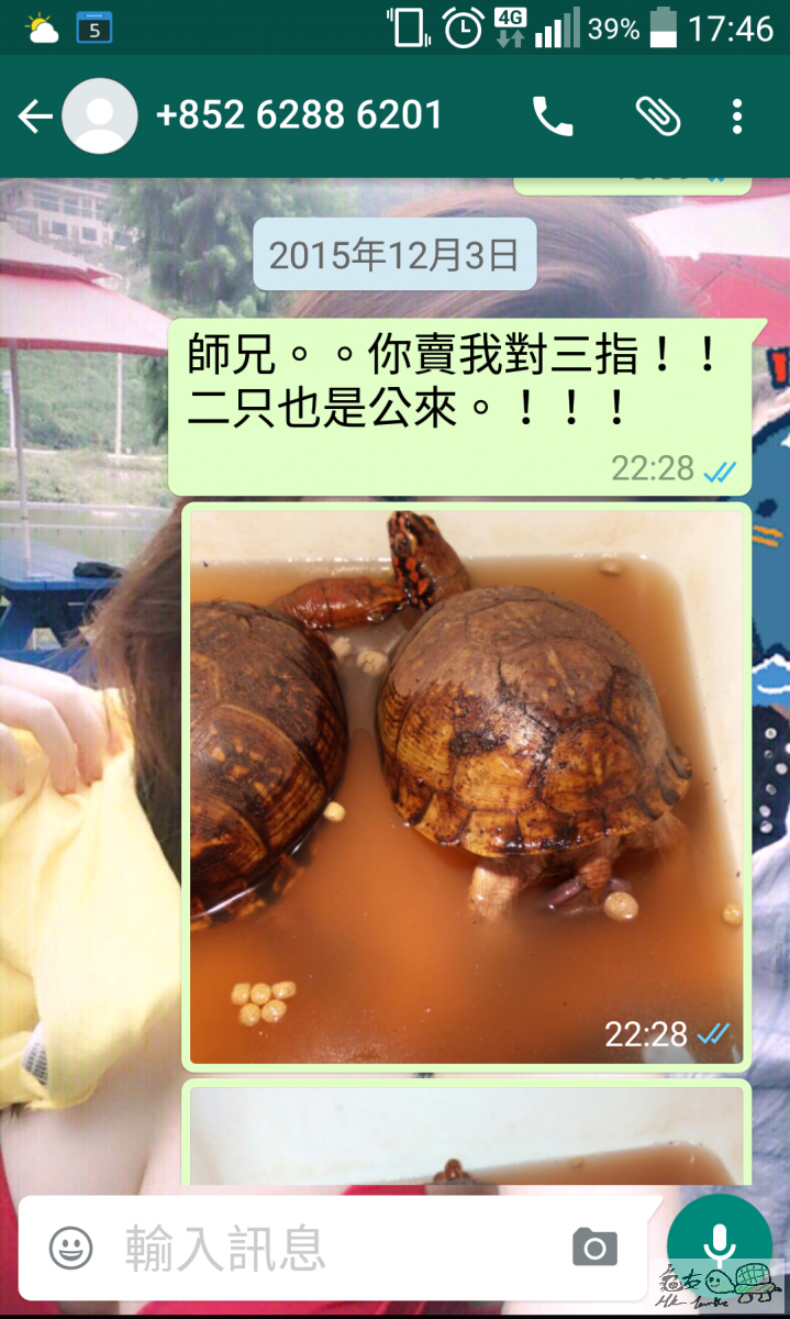 QuickMemo+_2015-12-05-17-46-38.png