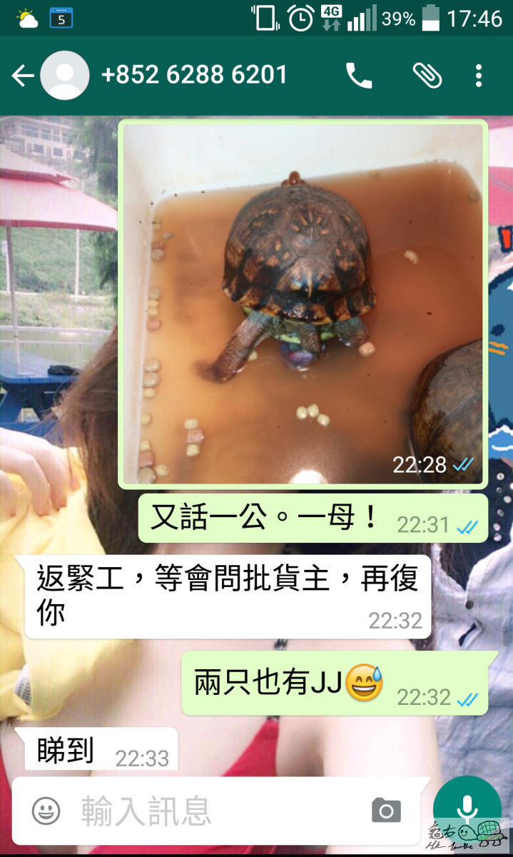 QuickMemo+_2015-12-05-17-46-46.png