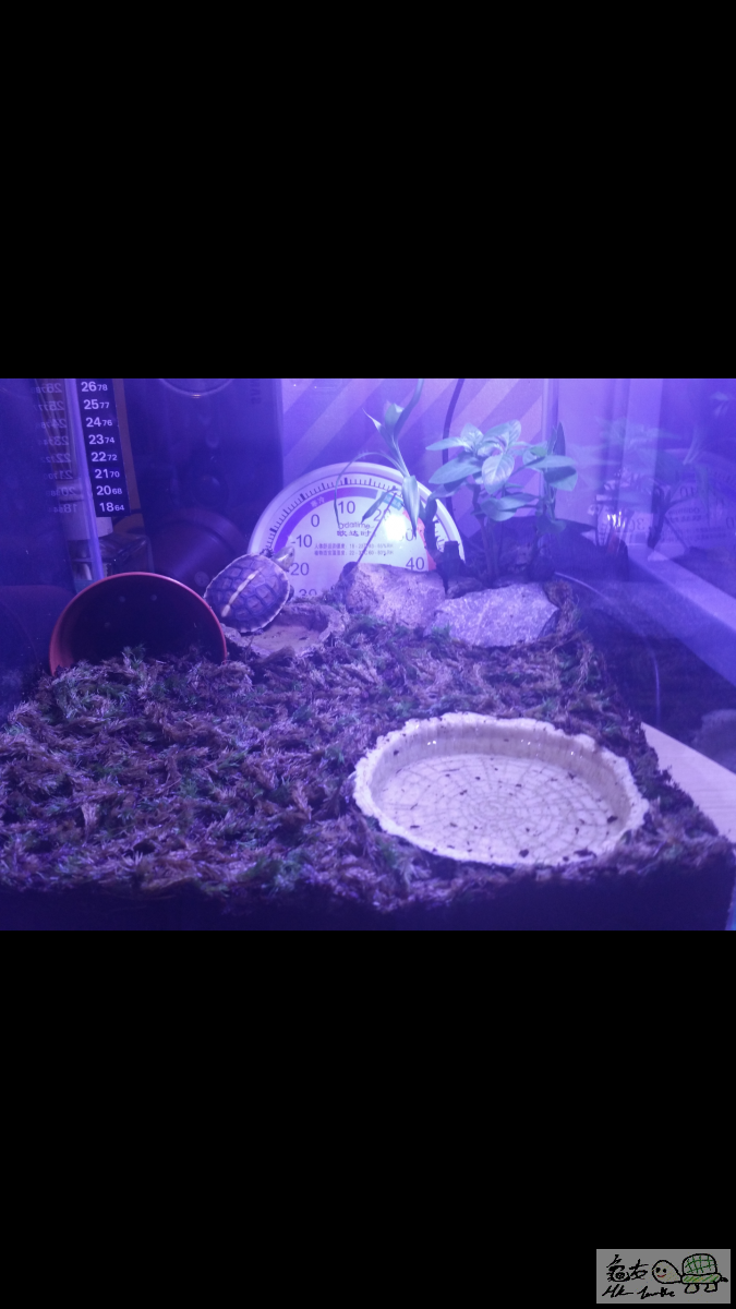 Screenshot_2015-12-06-18-51-48.png