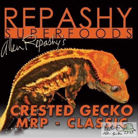 Crested GEcko Classic.jpg