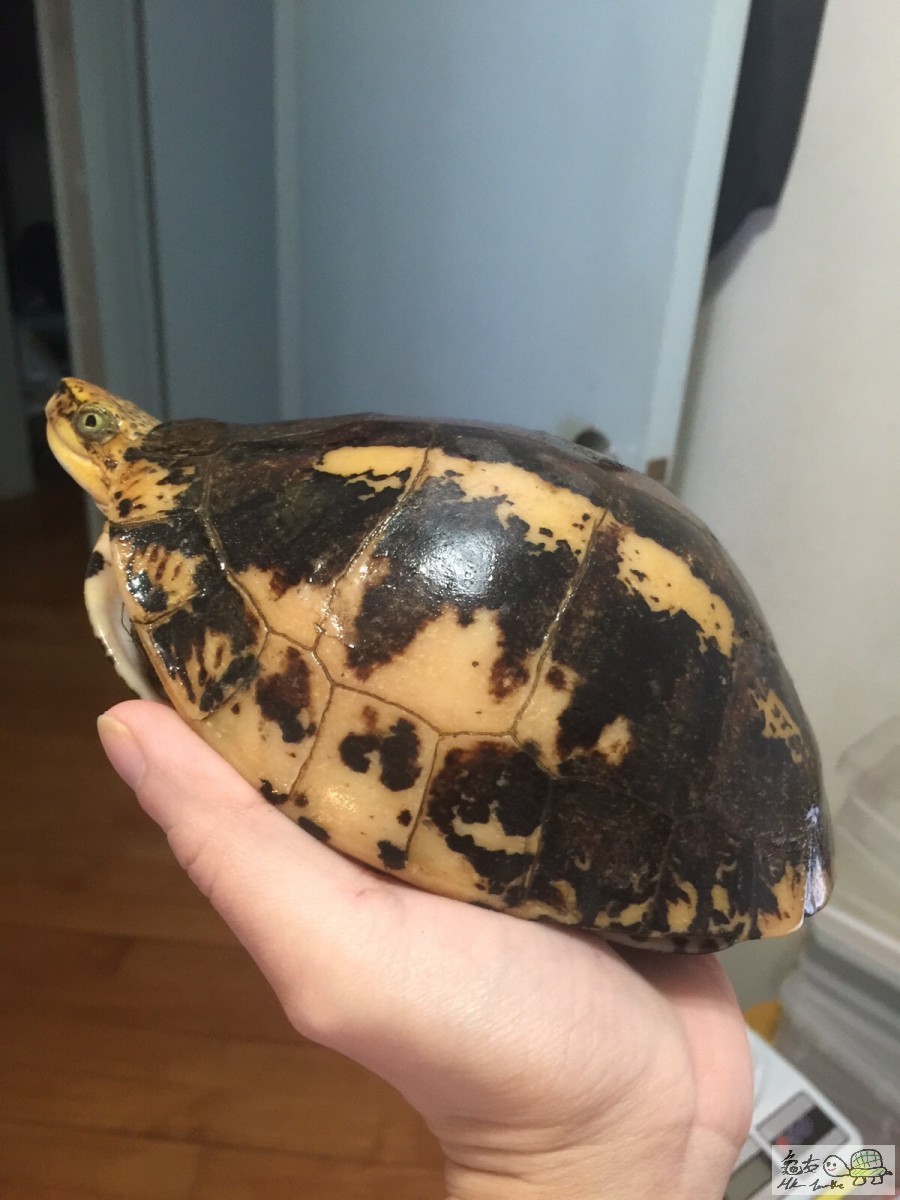 20160108104214 (1).jpg