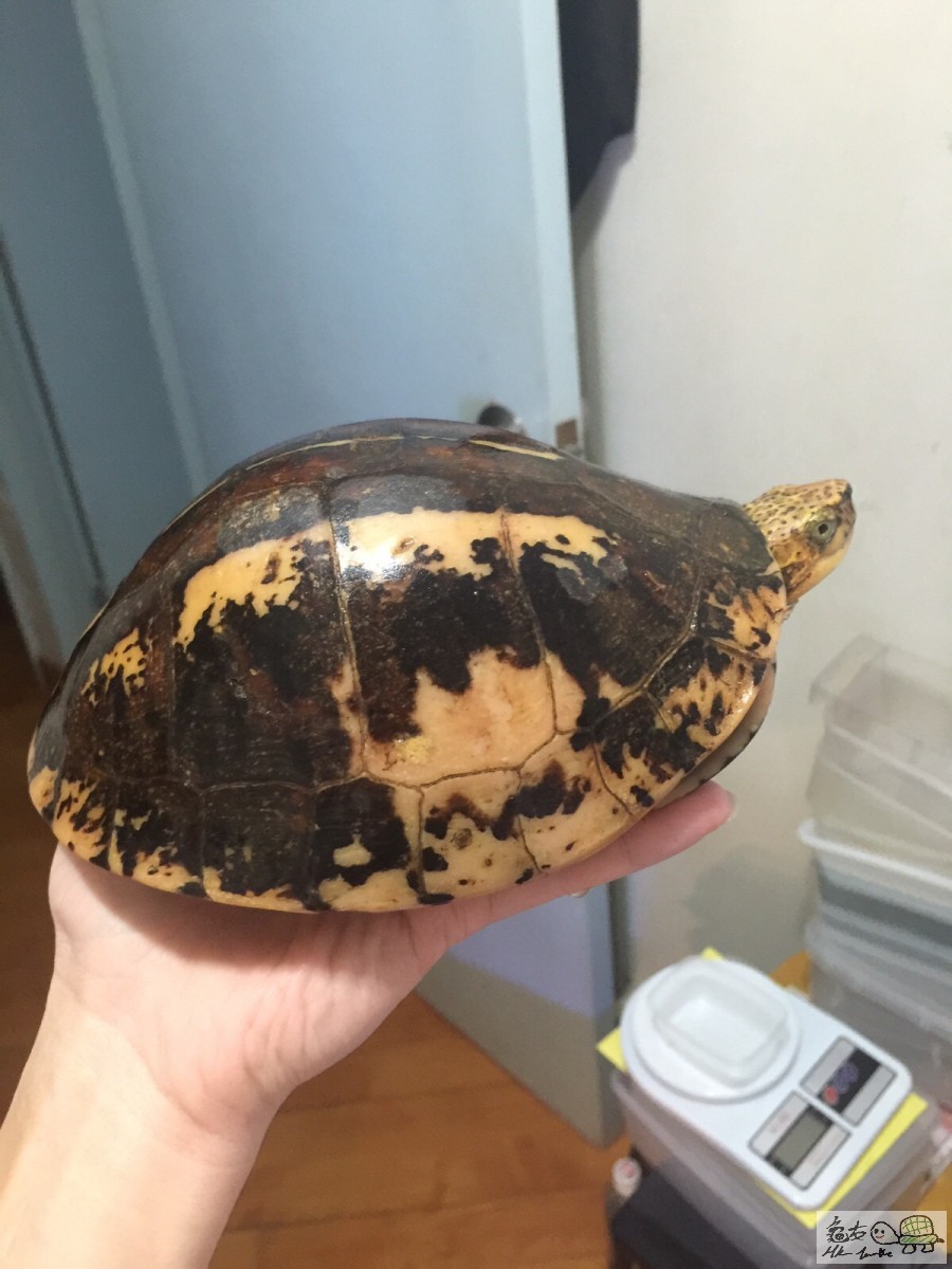 20160108104214 (2).jpg