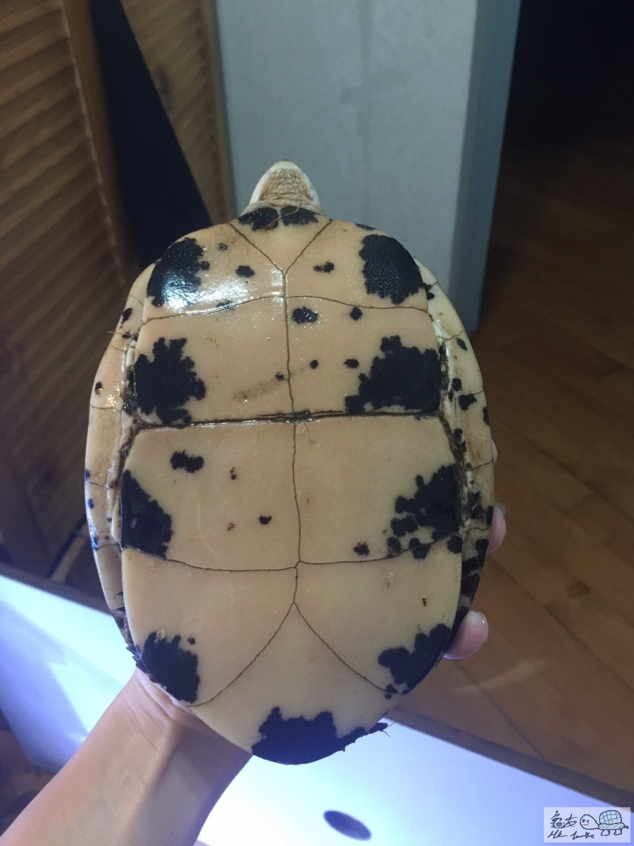 20160108104214 (3).jpg