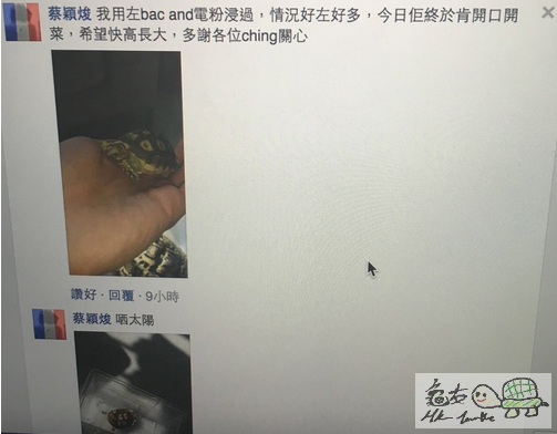開口食野