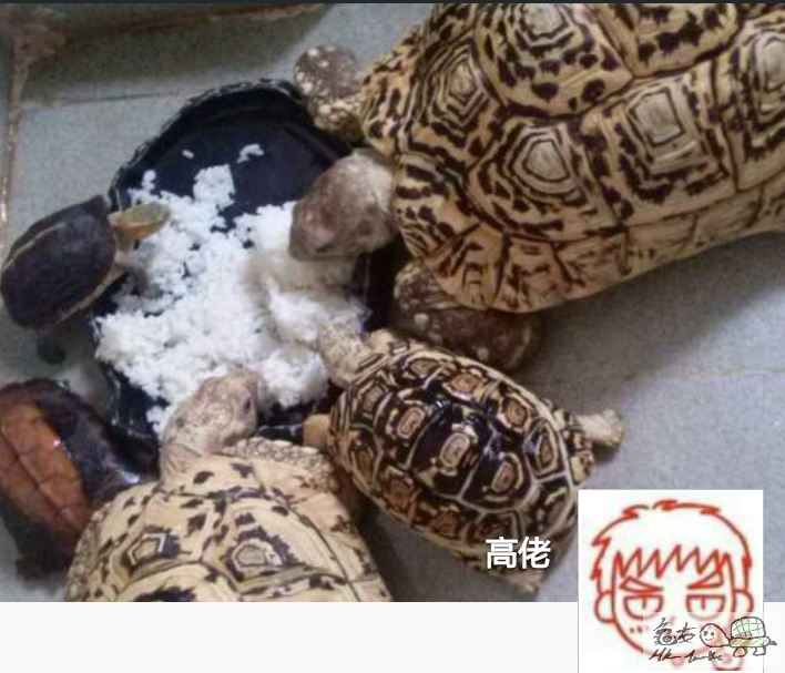 2016-02-16 23.31.06.png