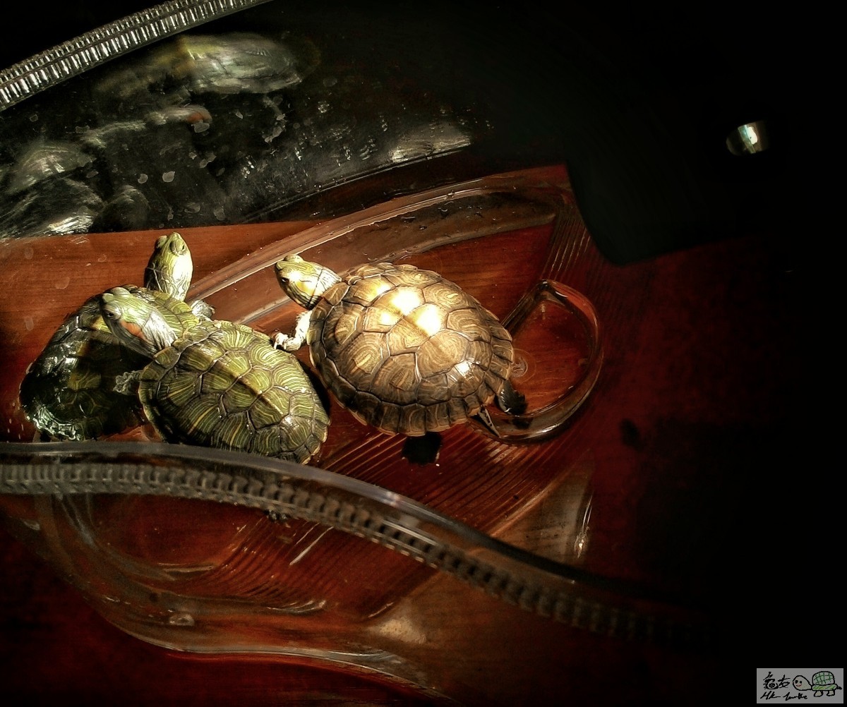 2016-01-09 19.24.16.jpeg