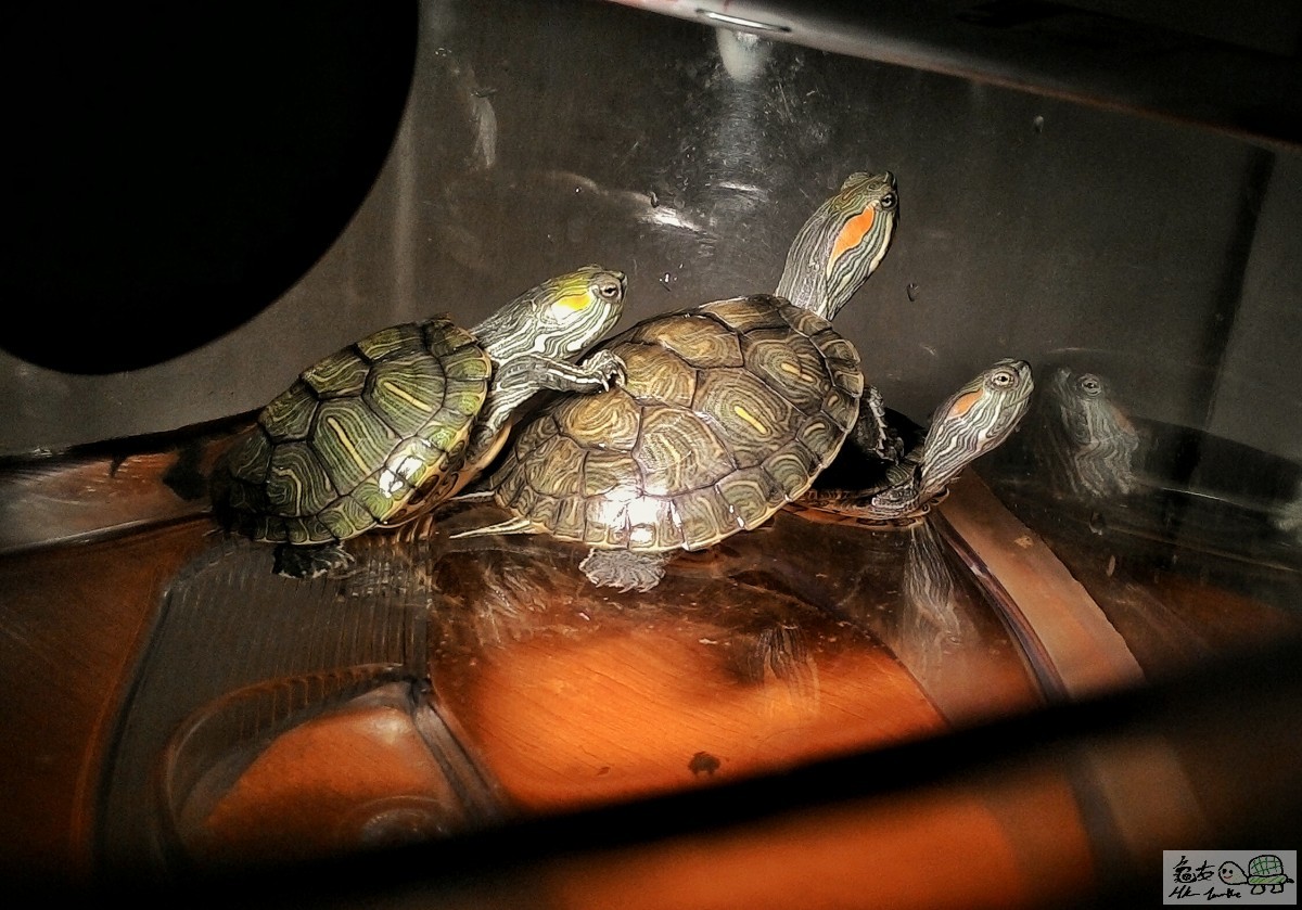 2016-01-10 22.43.17.jpeg