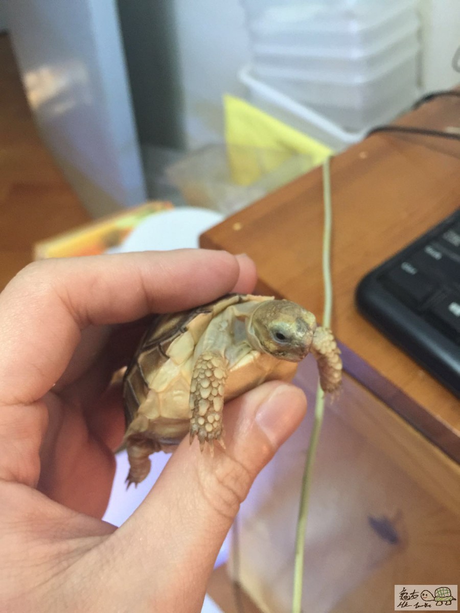 20160216052720 (1).jpg