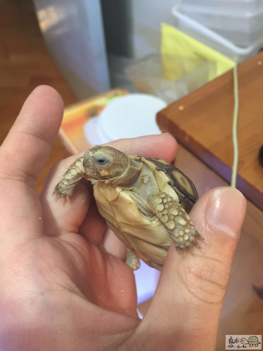 20160216052720 (2).jpg